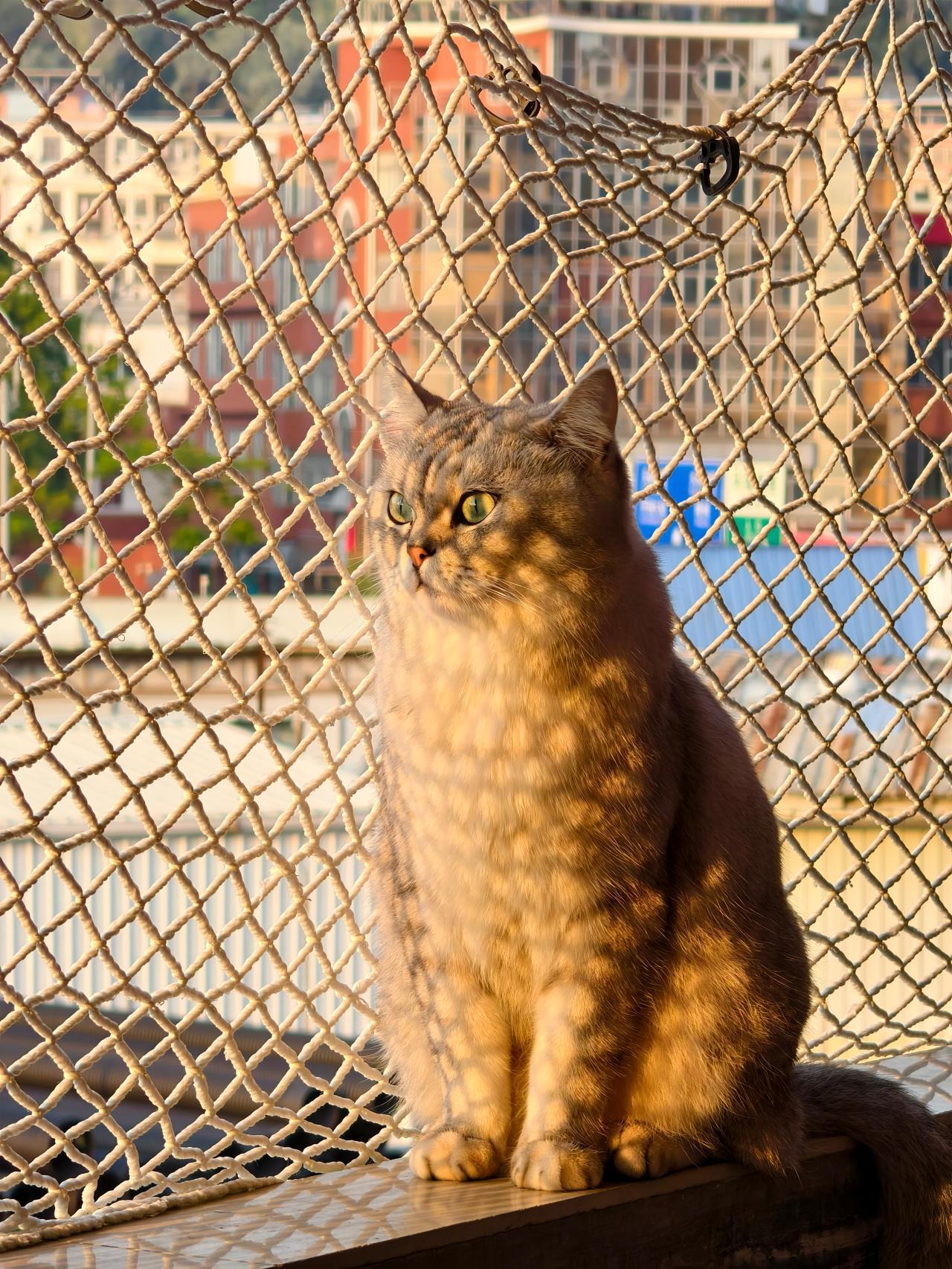 保温餐盒使用场景